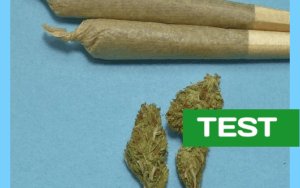 Marijuana Smell. Air Testing Kit with Laboratory Analysis