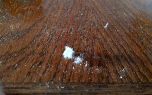 Cristalline Silica on Surface Test. Order Online